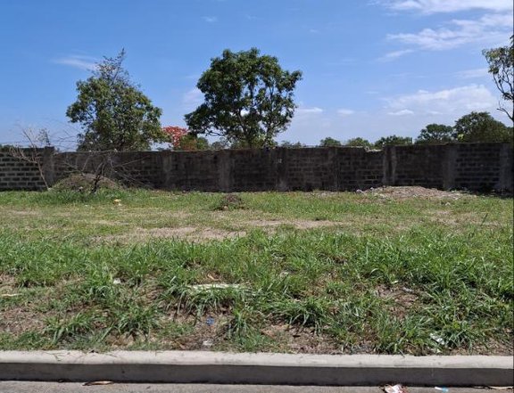 Commercial Lot For Sale Daang Hari Road Cavite