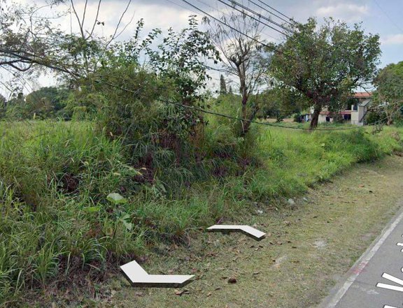 1.6 Hectares Agricultural Lot For Sale!