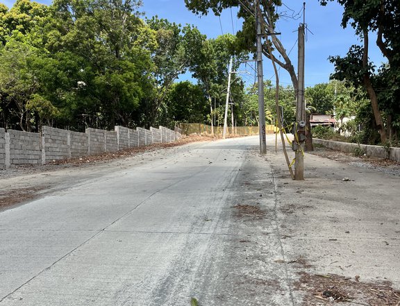 100 sqm Residential Lot For Sale in Baras Rizal