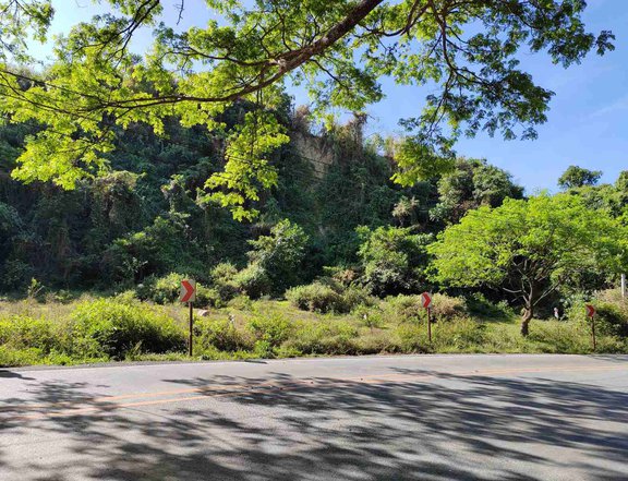 1 Hectare Raw Land For Sale in Baguio along Marcos Highway