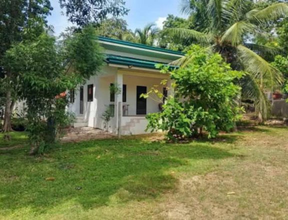 Pre-Owned 2-bedroom Single Detached House For Sale in Dumaguete Negros Oriental