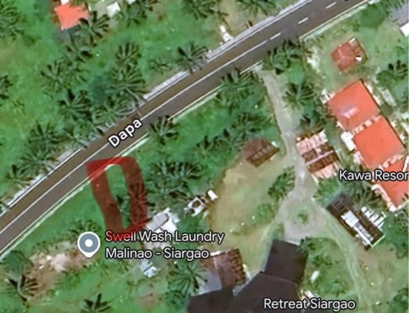 100 square meter Commercial Lot for sale in General Luna, Surigao del Norte