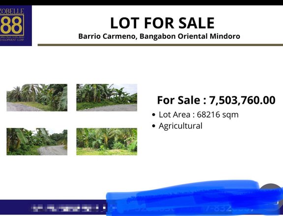 6,000 sqm Agricultural Farm For Sale in Bongabong Oriental Mindoro