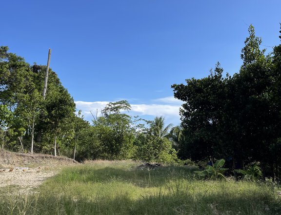 Land on National road near Kaputian