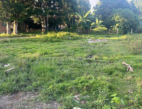 407 sqm Residential Lot For Sale in Dumaguete Negros Oriental