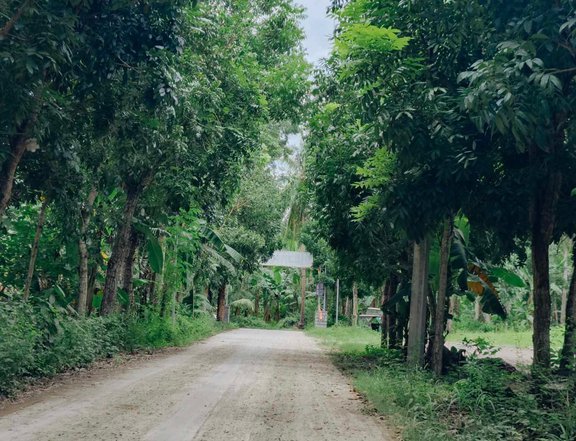 1,000 sqm Farm Lot For Sale in Tiaong Quezon