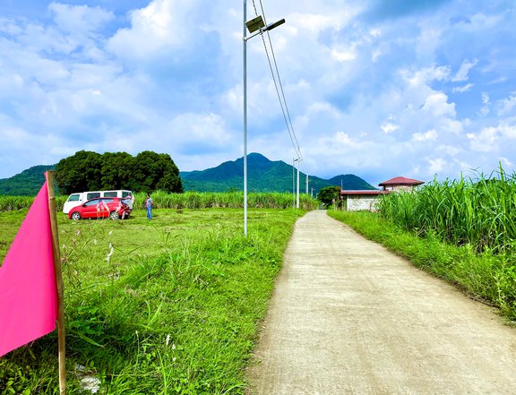 Farm Lot in Nasugbu Batangas - Php 492K Only!