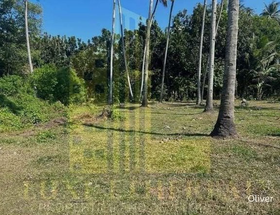 1,281 sqm Residential Lot For Sale in Dumaguete Negros Oriental