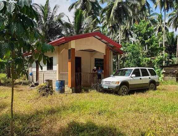 7,598 sqm Residential Farm for sale in new bataan Davao de oro (Compostela Valley)