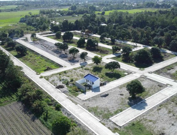 Prime Residential Lot for Sale in Sta. Cecilia Village, Capas, Tarlac