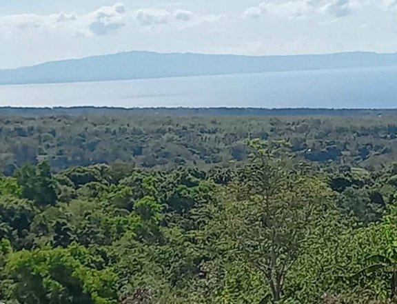 8,000 sqm Farm Lot For Sale