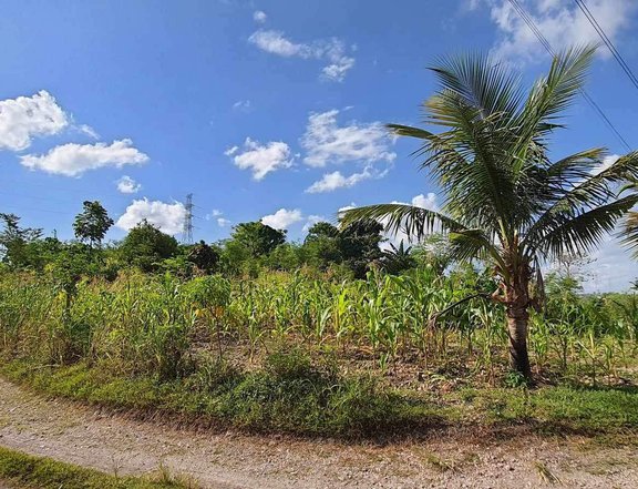 2 hectares Agro-Industrial Farm For Sale