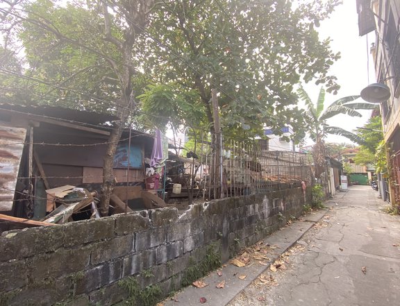 Residential Lot For Sale in Sta. Ana, Taguig City!