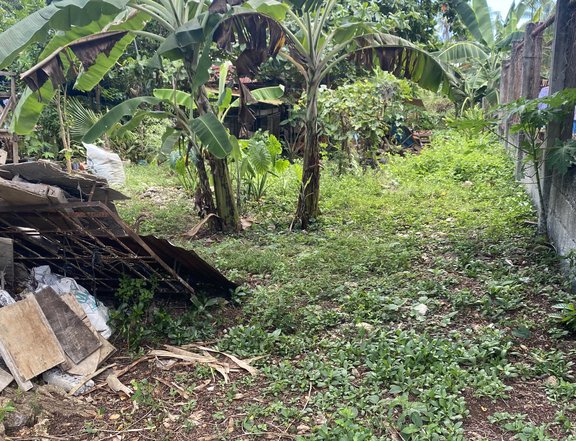 892 sqm Residential Lot For Sale In panglai Bohol