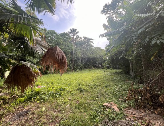 2,396 sqm Residential Farm For Sale in Brgy. Camudmud Babak District Samal Davao del Norte