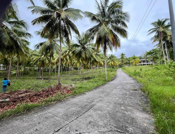 Affordable Land for Sale in Samboan Cebu