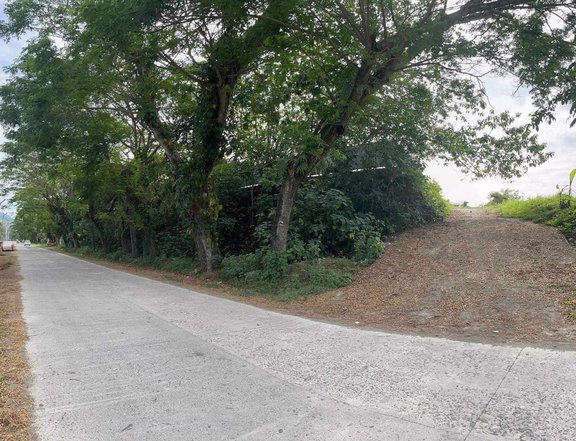 159 sqm Residential Lot For Sale in Butuan Agusan  Del Norte very near to Bancasi Airport