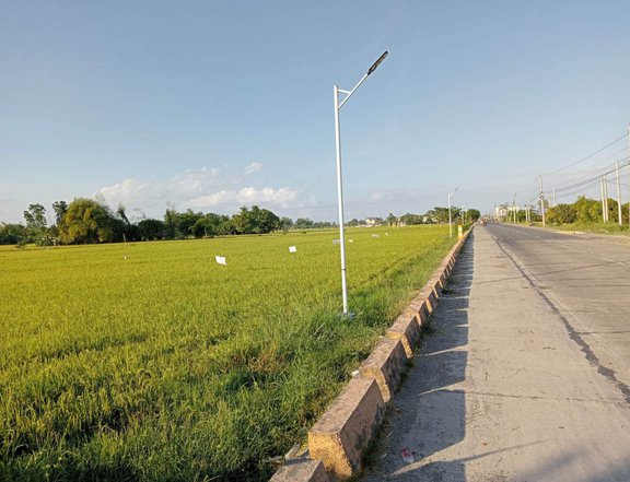 7.2 Hectare Agricultural Land in Nueva Ecija Neal CLEX  Clean Title