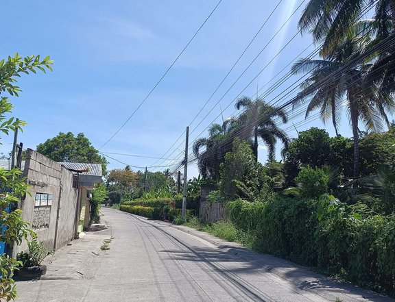 Lot for Sale In Dumaguete 4min going to Hypermart/Robinsons