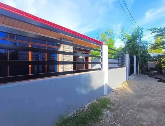 Single Detached House /Flat House for Rent in Bacong
