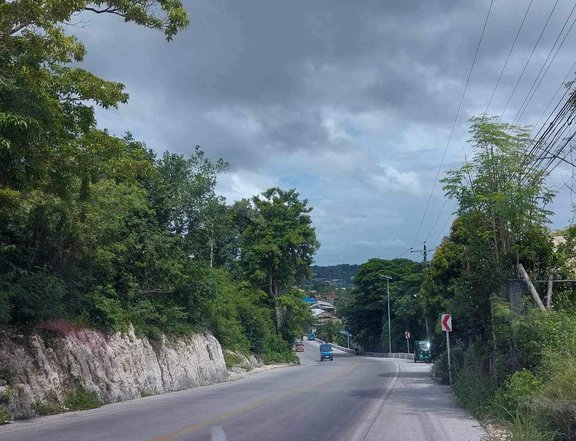 Commercial Lot for Sale in Dauis Bohol Panglao Island