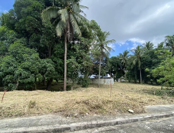 423 sqm Residential Lot For Sale in Lipa Batangas