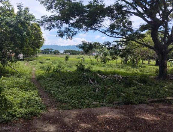 1,000 sqm Residential Farm For Sale in Jalajala Rizal