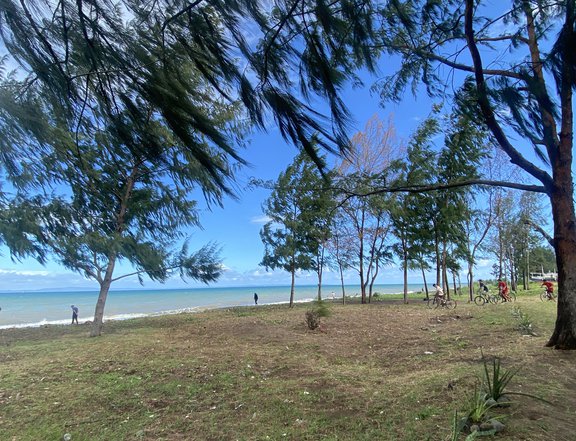 BEACH LOT FOR SALE IN INFANTA, QUEZON