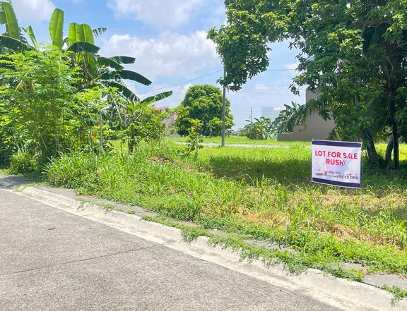 240 sqm Residential Lot For Sale in Dasmarinas Cavite