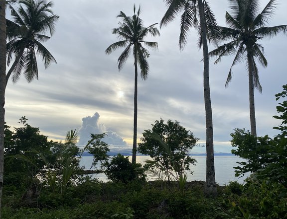 Beachfront Paradise - Panoramic View of the Ocean & Sunset