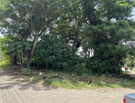 Residential Corner Lot For Sale in Maa Davao City