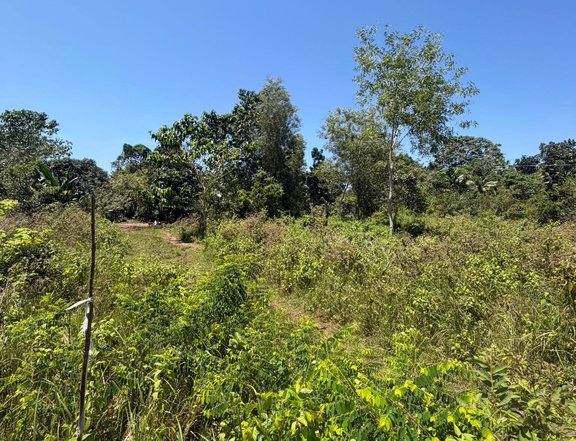 Lot for sale in Tangnan, Panglao w/ 790sqm area