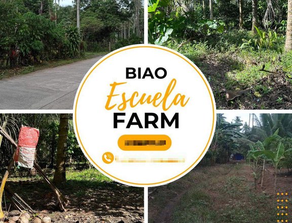 1.72 hectares Farm Lot For Sale in Davao City