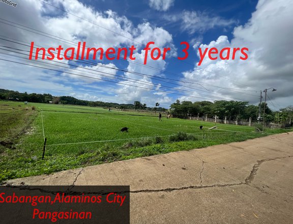 140 sqm Lot For Sale in Alaminos Pangasinan