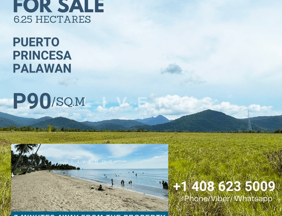 6.25 Hectares Beautiful Farmland For Sale in Palawan P90/sq.m
