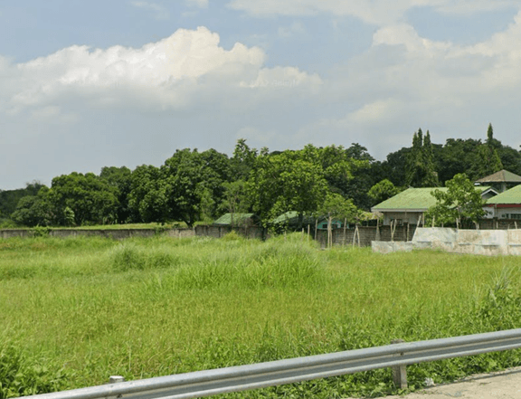 50 hectares Lot for Sale in Capas Tarlac