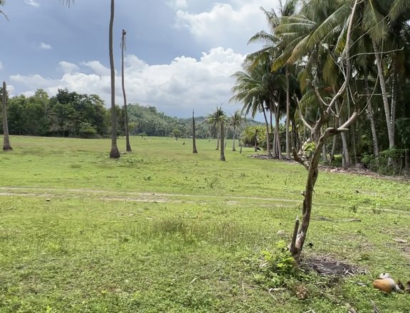 8,011 sqm lot in Cabcab, Mayabon, Zamboanguita, Negros Oriental