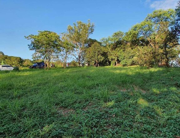 (2,691)sqm Lot For Sale in Victoria Valley Antipolo