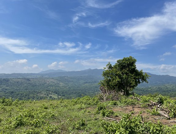 Majestic Mountain Ranch Pre Selling Lots for Sale in Mabiga Hermosa