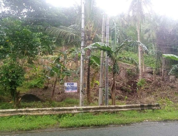 Raw Land for sale along Famy-Real-Infanta Road