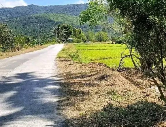 For Sale Residential Farm lot in Santa Maria Laguna