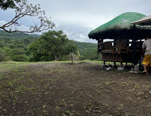 FARM LOT HULUGAN MAY MUHON NA PDE NA MAGAMIT AGAD