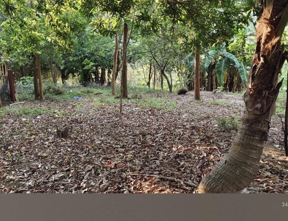 5000 sqm Residential Lot for Sale in Olongapo ,Zambales