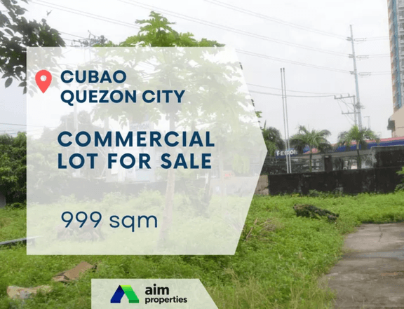 999 SQM Vacant Lot , Commercial Property For Sale in Quezon City