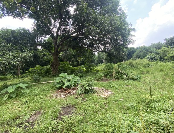 5.2 hectares Raw Land For Sale in Ibaan Batangas Cemented Municipal Road linking Lipa City to Ibaan