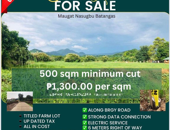 1000 sqm Agricultural Farm For Sale in Nasugbu Batangas