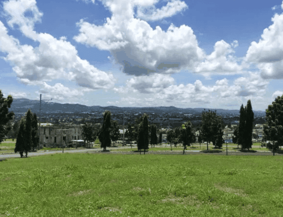 1 hectare Residential Lot For Sale in Quezon City