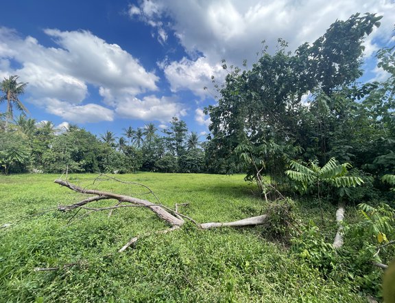 2514 lot for sale in Brgy Bunggo, Calamba , Laguna