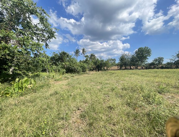 2514 lot for sale in Brgy Bunggo, Calamba , Laguna