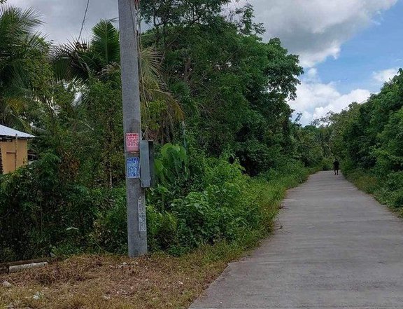 Affordable Commercial/Residential Lot in Panglao Island Bohol